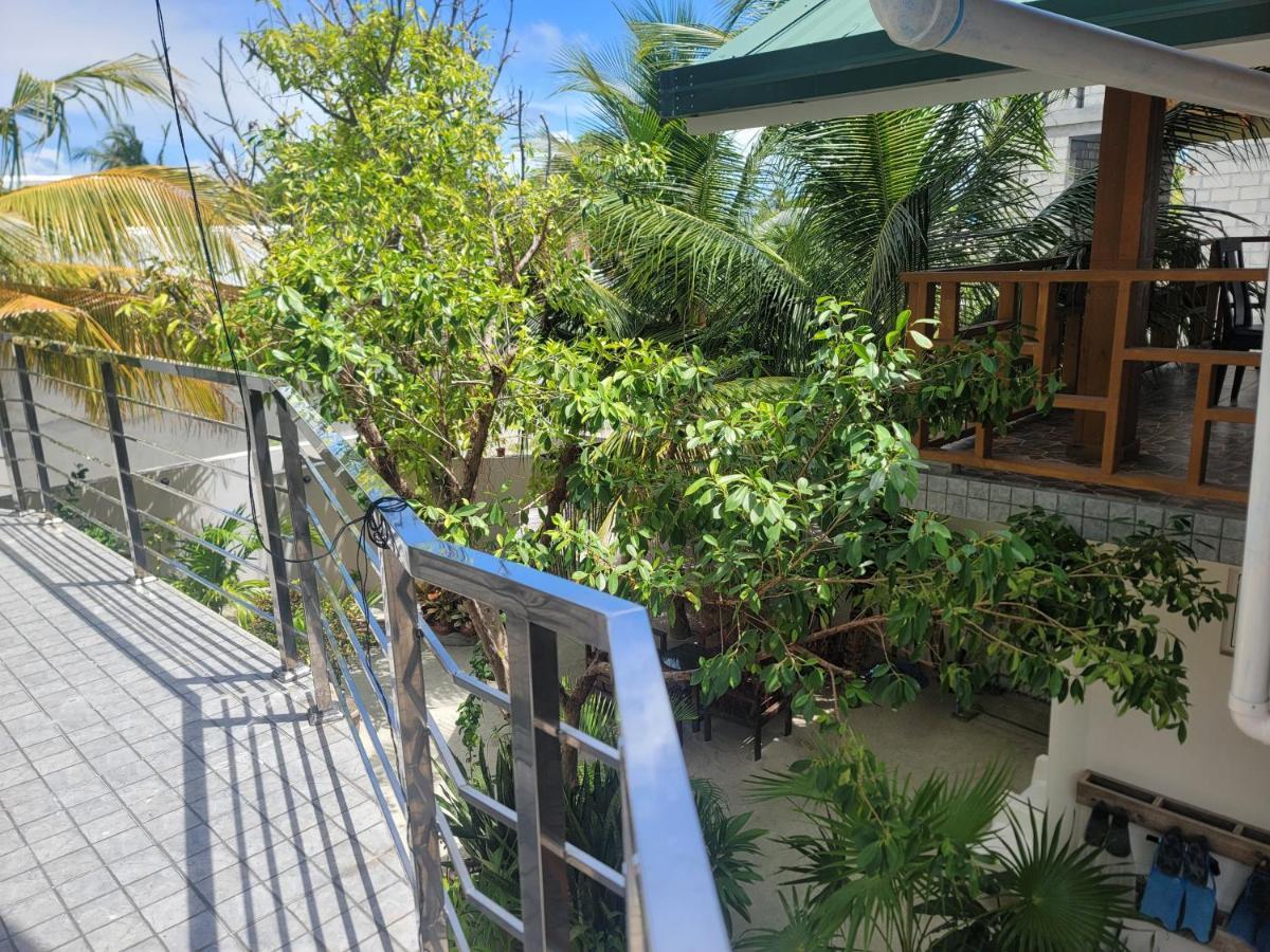 Pensiune Palm 2*