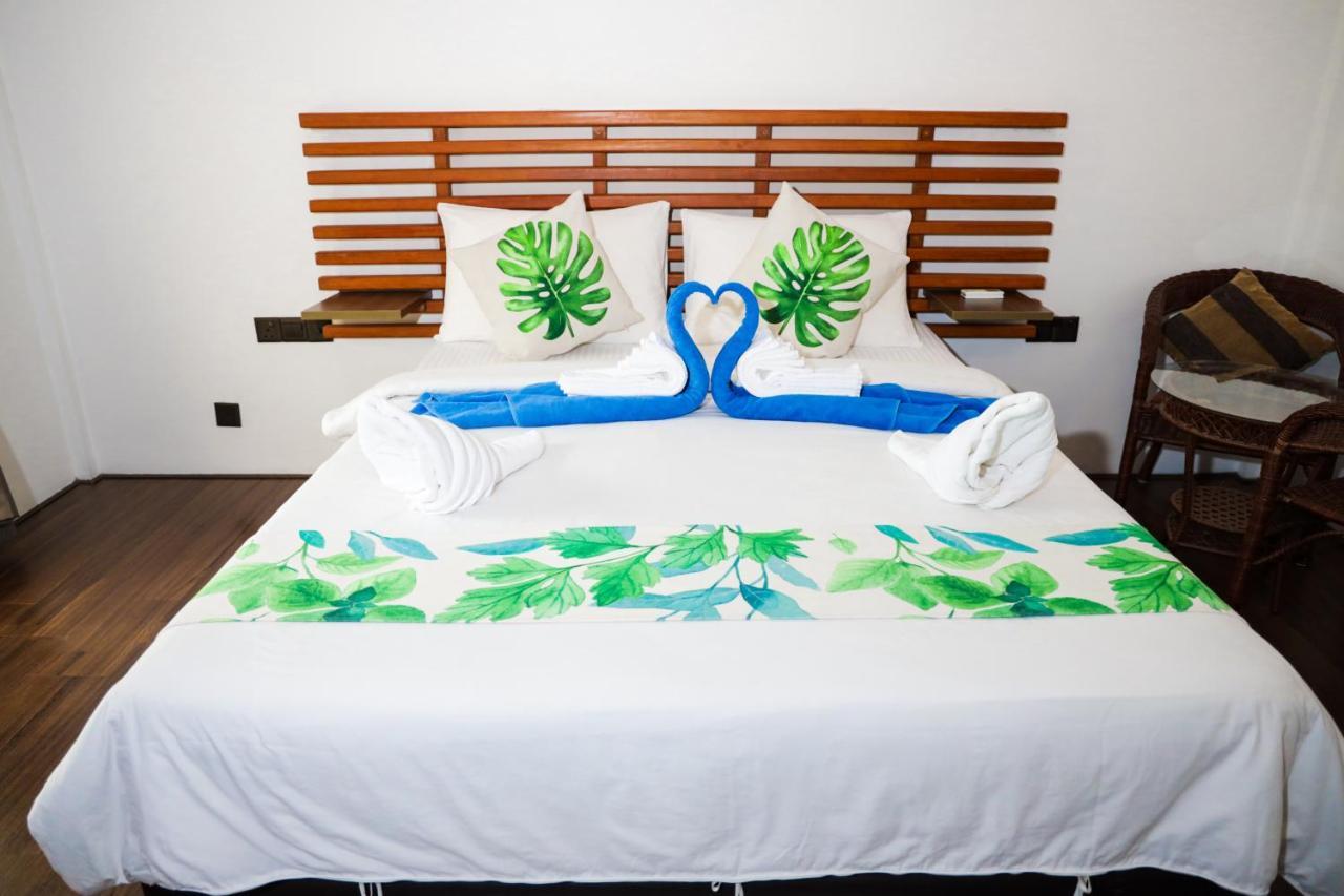 Palm 2* Rasdhoo
