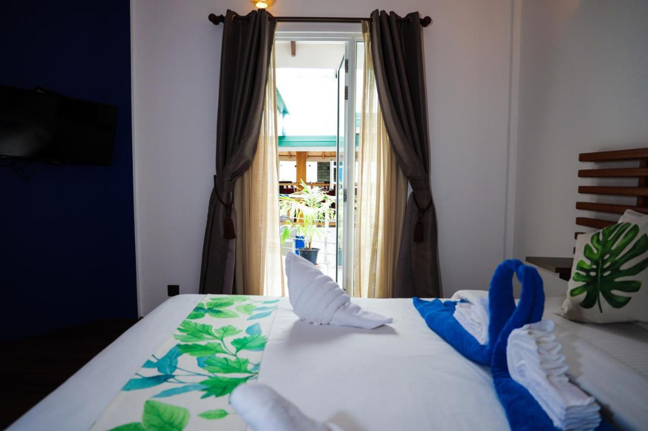 Palm Rasdhoo